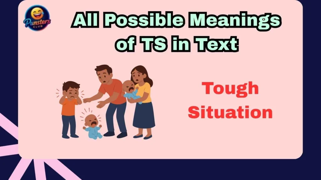 All Possible Meanings of TS in Text