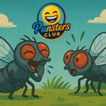 fly jokes