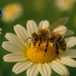 bee jokes
