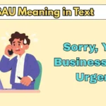 SYBAU Meaning in Text