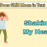 What Does SMH Mean in Text