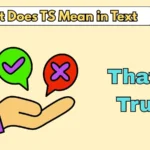 What Does TS Mean in Text